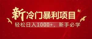 项目名称:每天一小时,轻松到手1000,冷门赚钱项目!-网赚项目平台