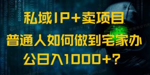 私域IP+卖项目,普通人如何做到宅家办公实现日入1000+-网赚项目平台