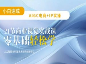 AIGC电商必备实操:21节平面设计实战课,教你玩转AI-网赚项目平台