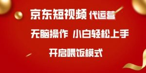 京东短视频代运营,全程喂饭,小白轻松上手【揭秘】-网赚项目平台