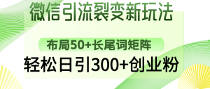 微信引流裂变新玩法：布局50+长尾词矩阵，轻松日引300+创业粉-网赚项目平台
