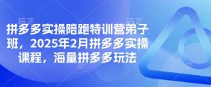 拼多多实操陪跑特训营弟子班,2025年2月拼多多实操课程,海量拼多多玩法-网赚项目平台