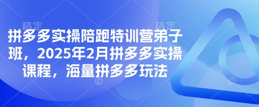 拼多多实操陪跑特训营弟子班，2025年2月拼多多实操课程，海量拼多多玩法-网赚项目平台