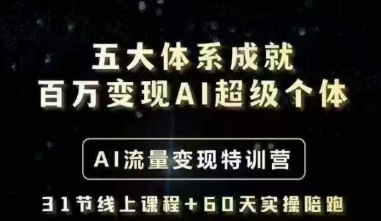五大体系成就百万变现AI超级个体- AI流量变现特训营，一步一步教你一个人怎么年入百W-网赚项目平台