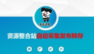 资源整合站自动采集发布转存，解放双手-网赚项目平台