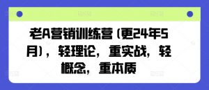 老A营销训练营(更25年3月),轻理论,重实战,轻概念,重本质-网赚项目平台