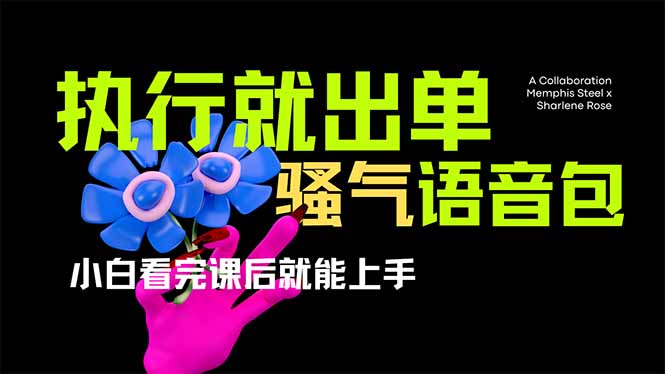 爆火全网的开车导航骚气语音包,只要执行就出单，小白看完课程就能实操…-网赚项目平台