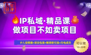 2025年“IP私域·密训精品课”,日赚3000+小白避坑年赚百万,暴力引流...-网赚项目平台