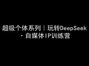超级个体系列，玩转DeepSeek·自媒体IP训练营，deepseek教程-网赚项目平台