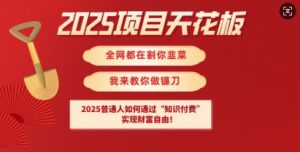 2025项目天花板普通人如何通过知识付费，实现财F自由【揭秘】-网赚项目平台