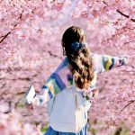 Sjx_JR的头像-网赚项目平台