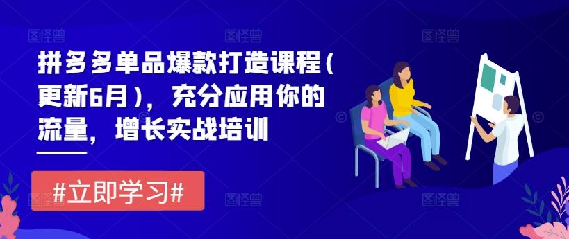 拼多多单品爆款打造课程(更新6月)，充分应用你的流量，增长实战培训-网赚项目平台
