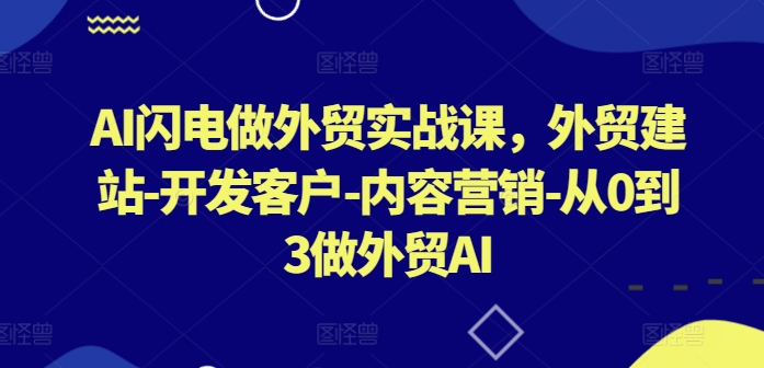 AI闪电做外贸实战课，​外贸建站-开发客户-内容营销-从0到3做外贸AI(更新)-网赚项目平台