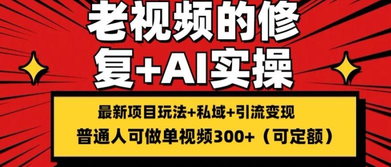 修复老视频的玩法，搬砖+引流的变现(可持久)，单条收益300+【揭秘】-网赚项目平台