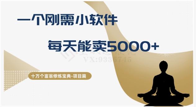 十万个富翁修炼宝典之17.一个刚需小软件，每天能卖5000+-网赚项目平台