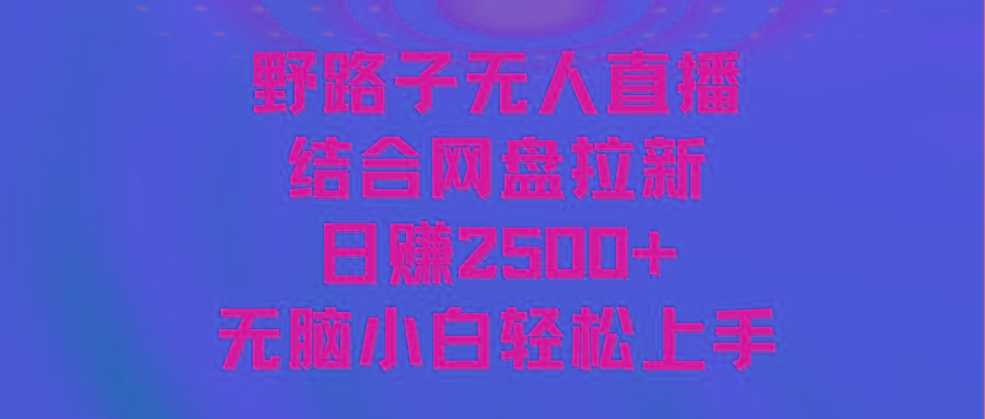 无人直播野路子结合网盘拉新，日赚2500+多平台变现，小白无脑轻松上手操作-网赚项目平台
