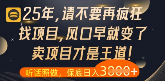 什么？25年你还在疯狂找项目做，醒醒吧，看完这些你全都懂了【揭秘】-网赚项目平台