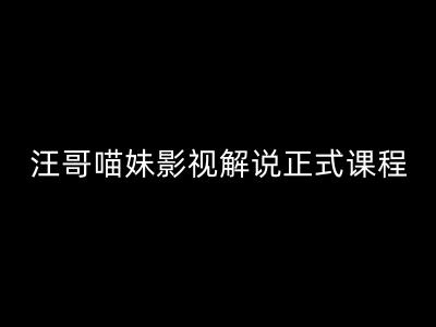 汪哥影视解说正式课程：剪映/PR教学/视解说剪辑5大黄金法则/全流程剪辑7把利器等等-网赚项目平台