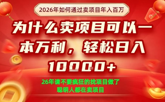 一单净利润1K+，26年想年入100个W，死磕卖项目就够了【揭秘】-网赚项目平台