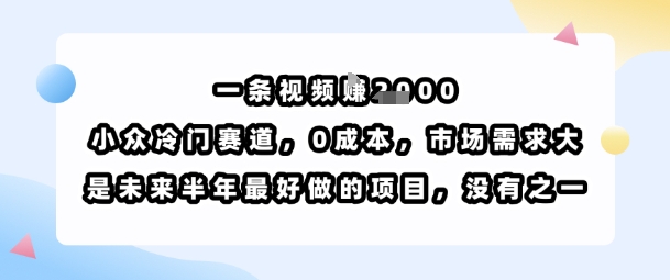 一条视频挣1k，小众冷门赛道，0成本，市场需求大，是未来半年最好做的项目，没有之一-网赚项目平台