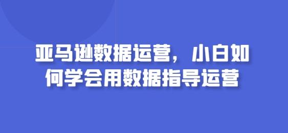 亚马逊数据运营，小白如何学会用数据指导运营-网赚项目平台