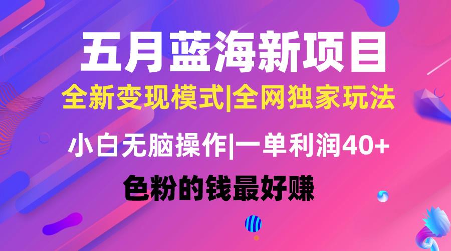 五月蓝海项目全新玩法，小白无脑操作，一天几分钟，矩阵操作，月入4万+-网赚项目平台