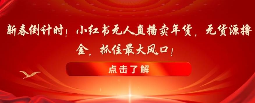 新春倒计时！小红书无人直播卖年货，无货源撸金，抓住最大风口【揭秘】-网赚项目平台