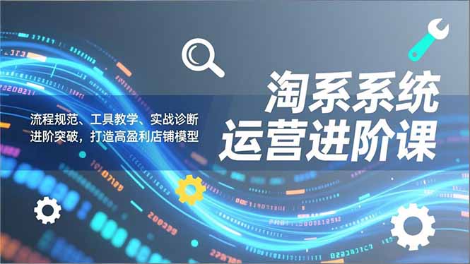 淘系系统运营进阶课2.0，流程规范、工具教学、实战诊断，进阶突破，打造高盈利店铺模型-网赚项目平台