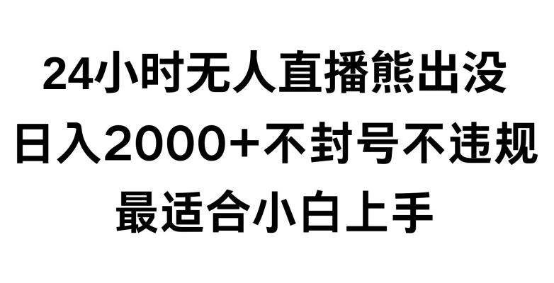 快手24小时无人直播熊出没，不封直播间，不违规，日入2000+，最适合小白上手，保姆式教学【揭秘】-网赚项目平台