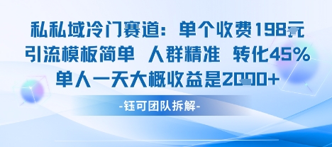 私域冷门赛道单个收费198米引流模板简单人群精准 45%的转化率单人一天大概收益多张-网赚项目平台