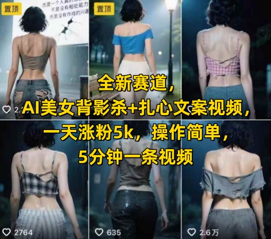 全新赛道，AI美女背影杀+扎心文案视频，一天涨粉5k，操作简单，5分钟一条视频-网赚项目平台