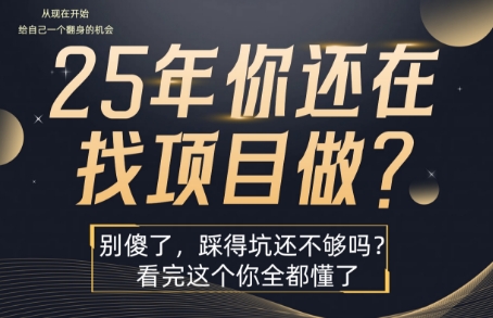 25年，你还在疯狂的找项目吗？别傻了，看完这个你都懂了【揭秘】-网赚项目平台