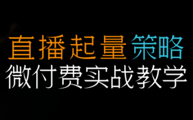 半野老师·直播带货起量与微付费必学课视频号-网赚项目平台