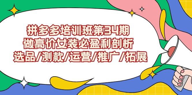 (9333期)拼多多培训班第34期：做高价女装必盈利剖析  选品/测款/运营/推广/拓展-网赚项目平台