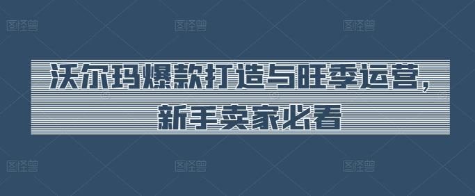 沃尔玛爆款打造与旺季运营，新手卖家必看-网赚项目平台