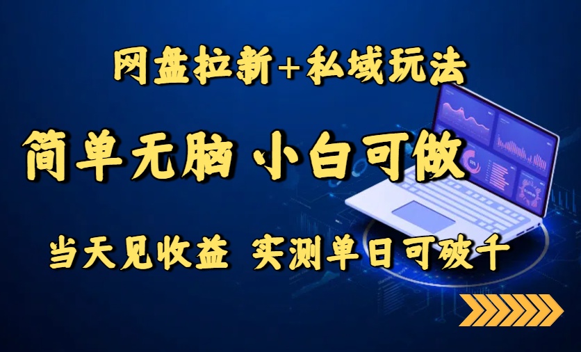 网盘拉新+私域玩法，简单无脑，小白可做，当天见收益，实测单日可破千-网赚项目平台