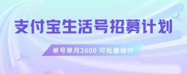 支付宝生活号作者招募计划，单号单月2600，可批量去做，工作室一人一个月轻松1w+【揭秘】-网赚项目平台