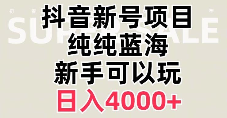 抖音蓝海赛道，必须是新账号，日入4000+【揭秘】-网赚项目平台