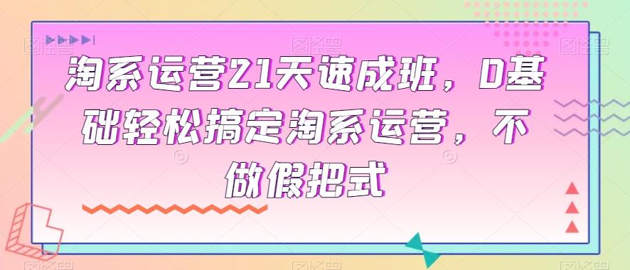 淘系运营21天速成班，0基础轻松搞定淘系运营，不做假把式-网赚项目平台
