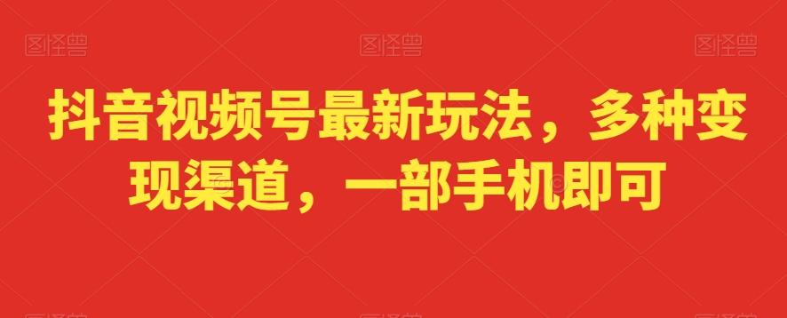 抖音视频号最新玩法，多种变现渠道，一部手机即可-网赚项目平台