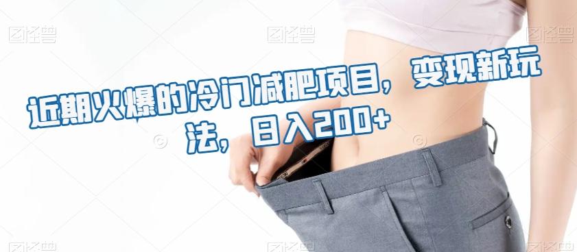 近期火爆的冷门减肥项目，变现新玩法，日入200+-网赚项目平台