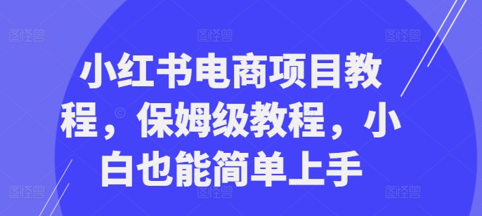 小红书电商项目教程，保姆级教程，小白也能简单上手-网赚项目平台