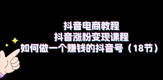 抖音电商教程：抖音涨粉变现课程：如何做一个赚钱的抖音号(18节-网赚项目平台
