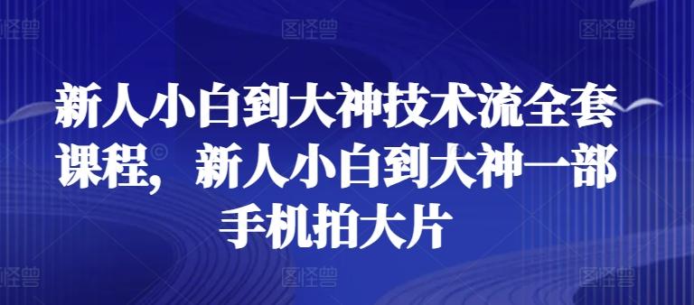 新人小白到大神技术流全套课程，新人小白到大神一部手机拍大片-网赚项目平台
