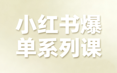 尼采老师·小红书爆单系列课-网赚项目平台