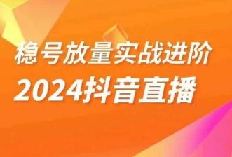 稳号放量实战进阶—2024抖音直播，直播间精细化运营的几大步骤-网赚项目平台