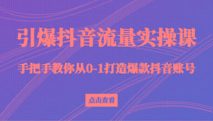 引爆抖音流量实操课，手把手教你从0-1打造爆款抖音账号(27节课)-网赚项目平台