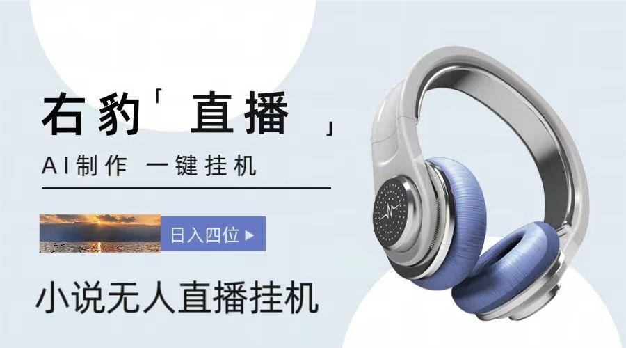 右豹小说无人直播挂机吸金项目，简单易行收益稳定， 月入1000+-网赚项目平台