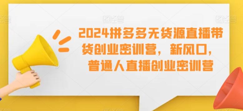 2024拼多多无货源直播带货创业密训营，新风口，普通人直播创业密训营-网赚项目平台