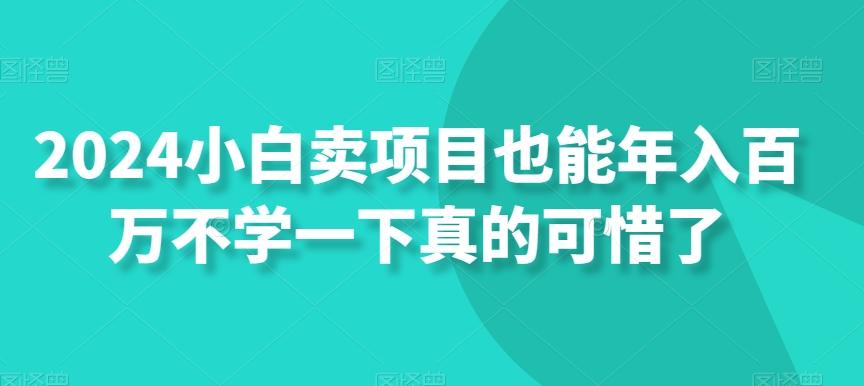 2024小白卖项目也能年入百万不学一下真的可惜了-网赚项目平台